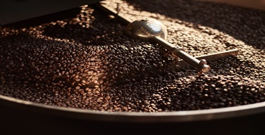 Ȱ���̹���